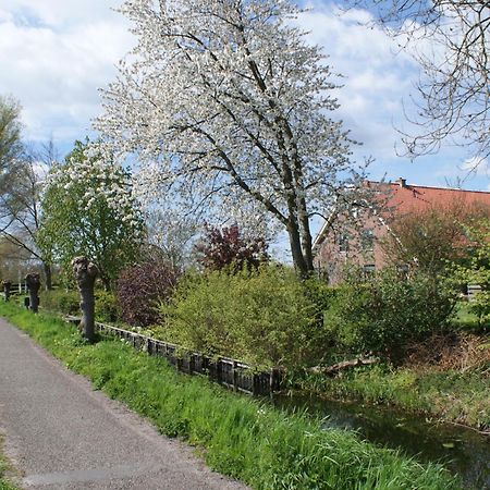 Gastenverblijf De Natureluur Noorden Eksteriør bilde