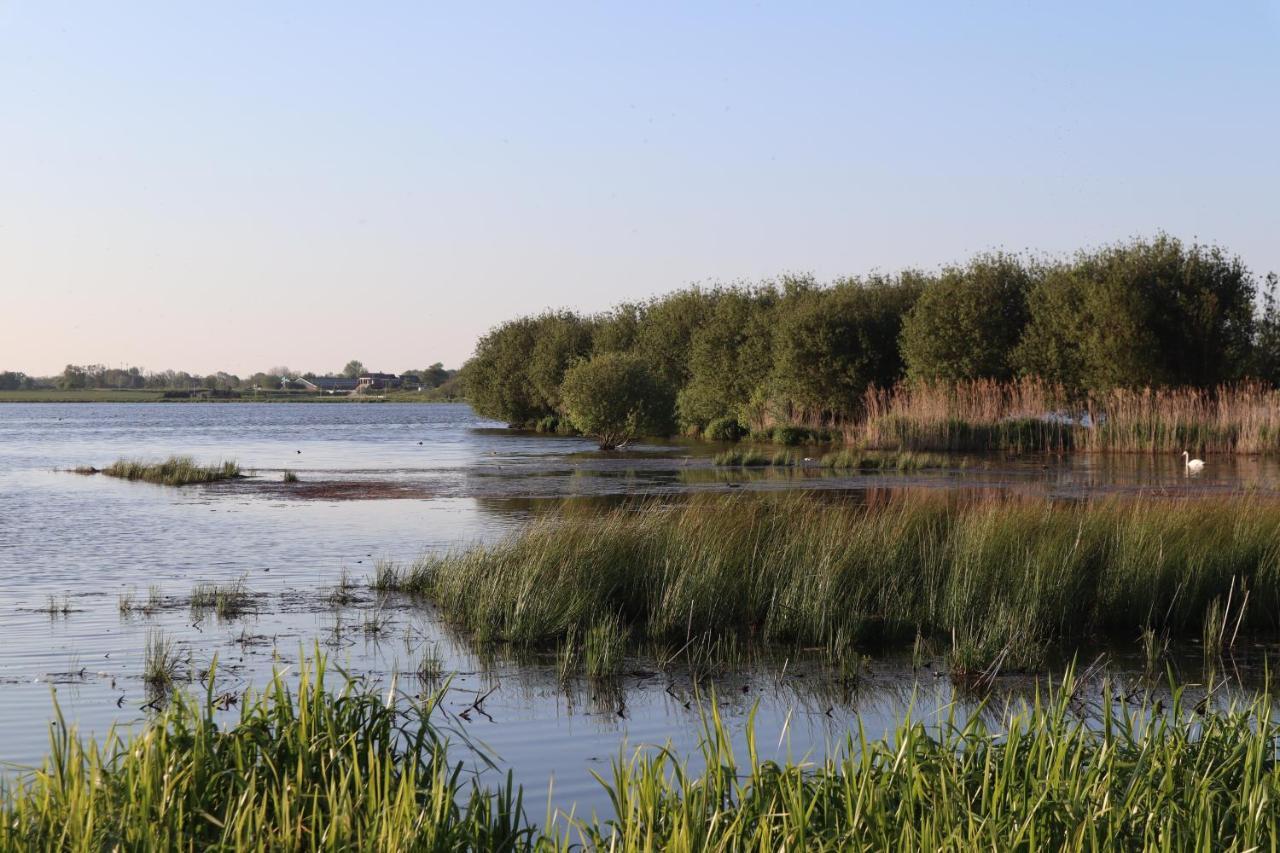 Gastenverblijf De Natureluur Noorden Eksteriør bilde